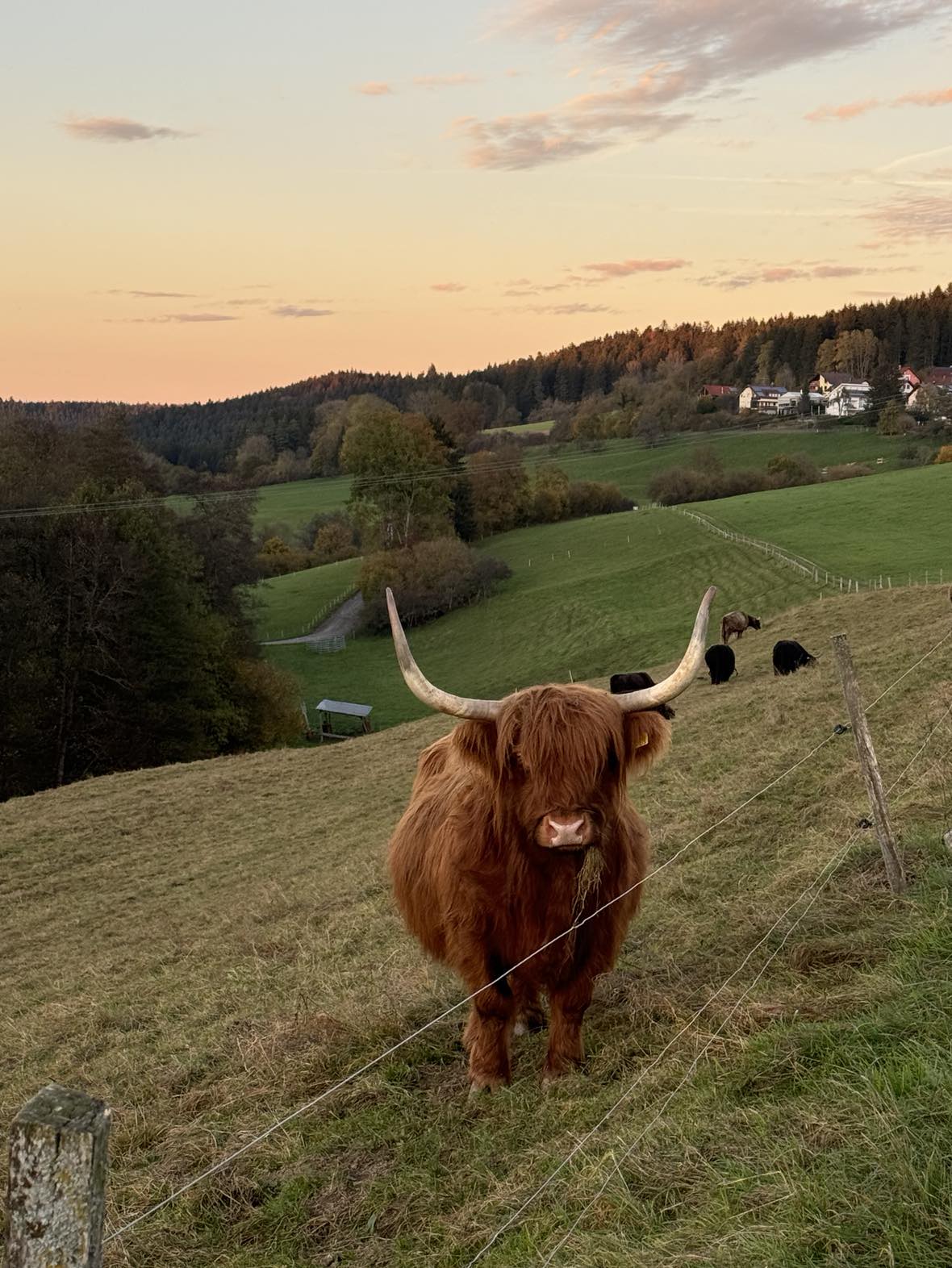 Farm logo