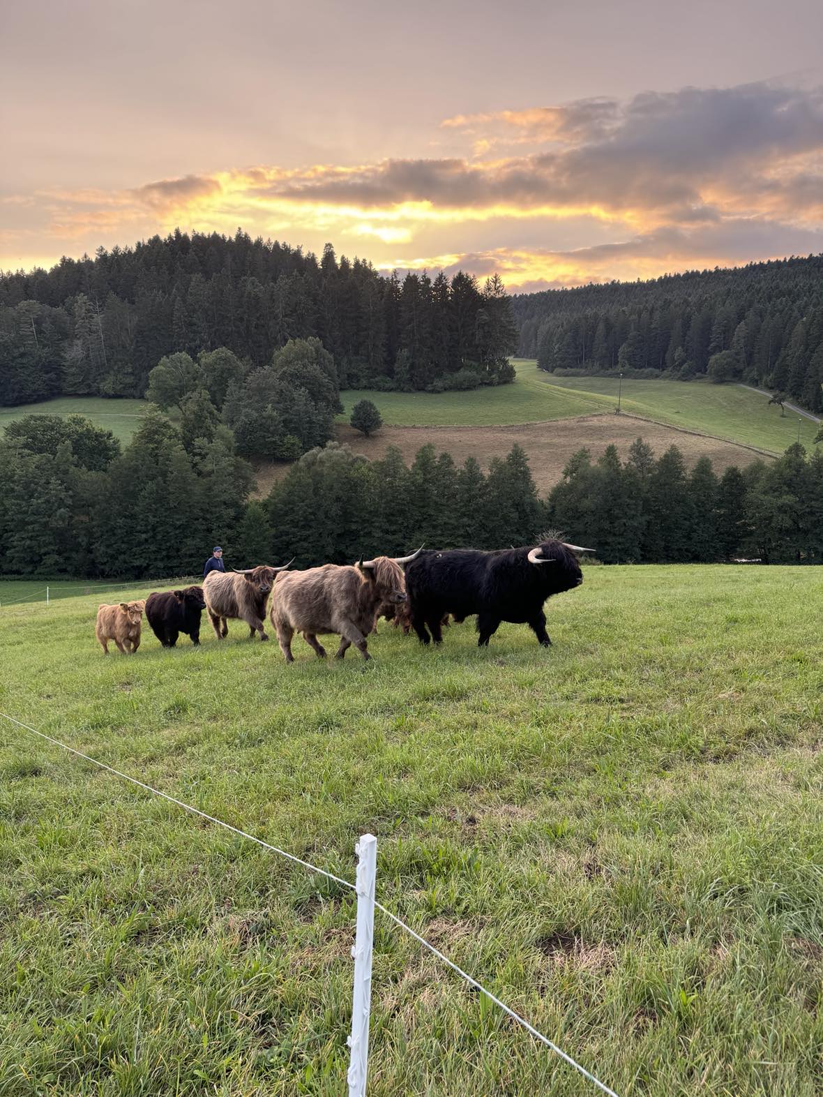 Eindrücke vom Hof