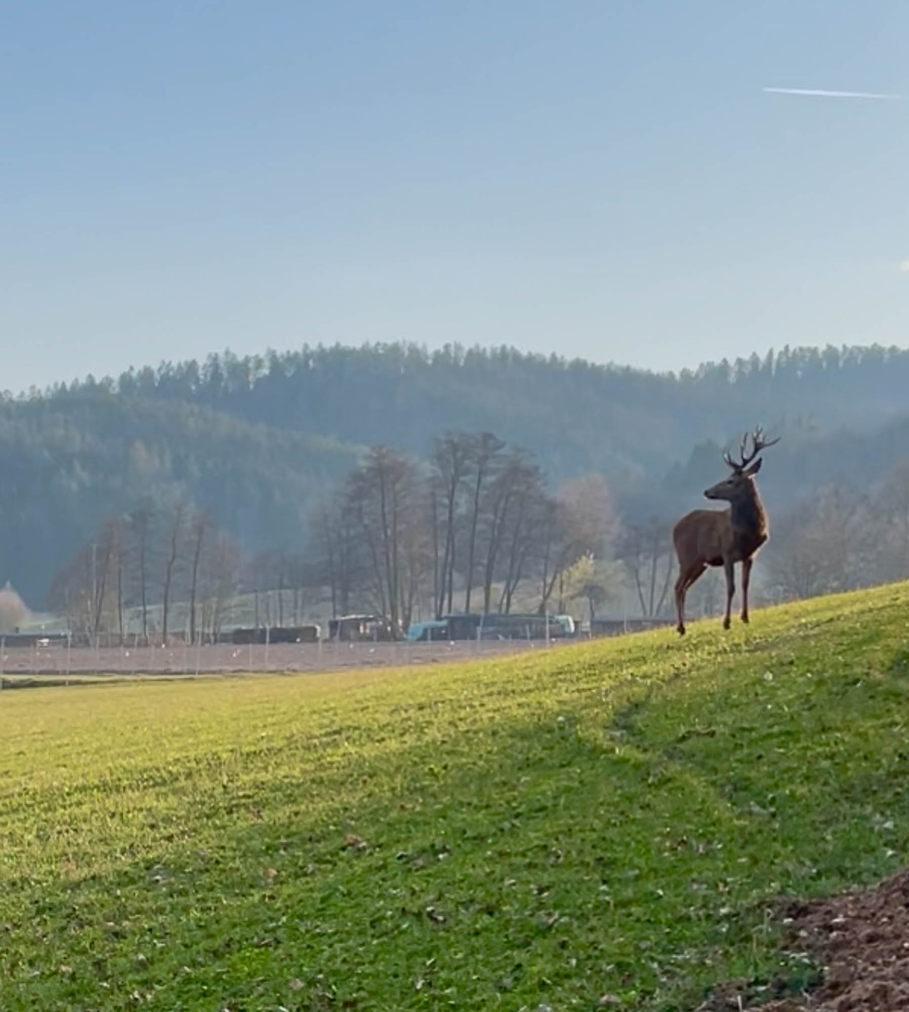 Eindrücke vom Hof