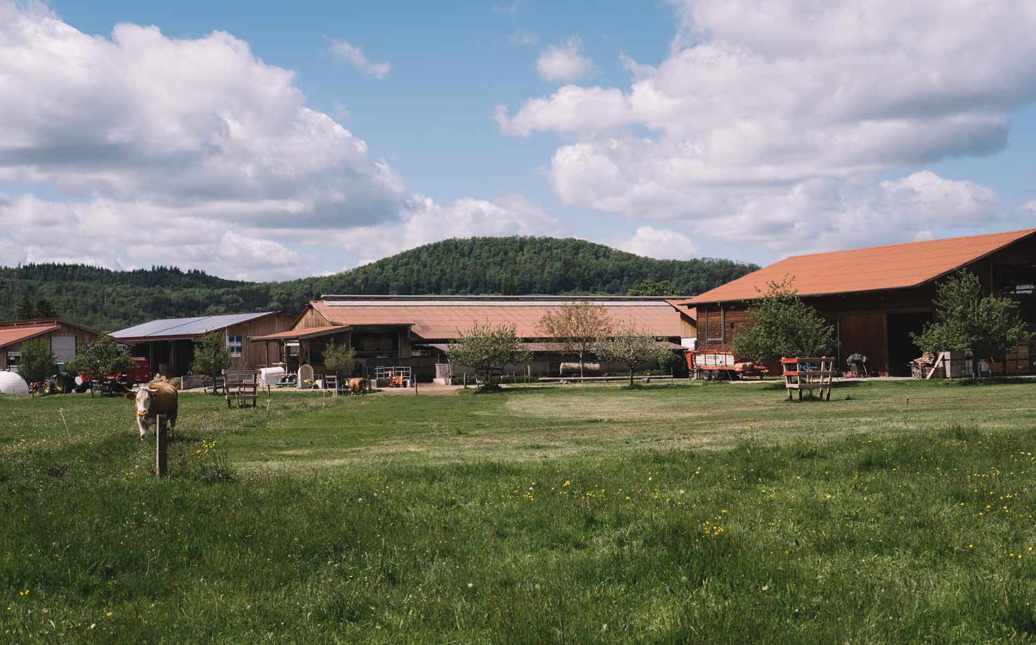 Eindrücke vom Hof