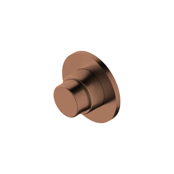 Concealed self-closing shower valve in 304L stainless steel