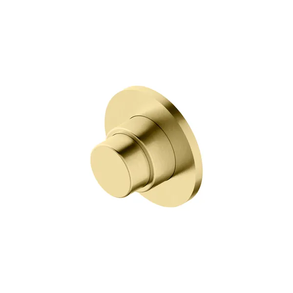 Concealed self-closing shower valve in 304L stainless steel