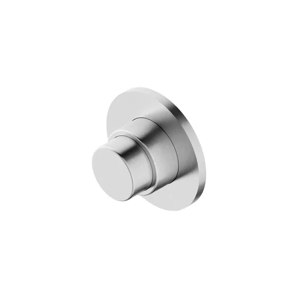 Concealed self-closing shower valve in 304L stainless steel
