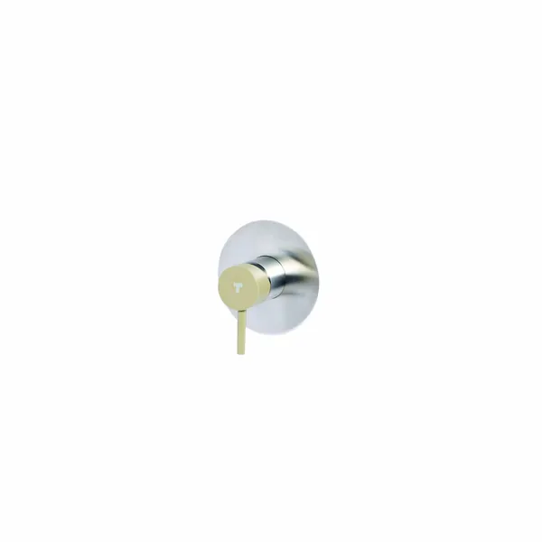 Concealed shower mixer with coloured handle