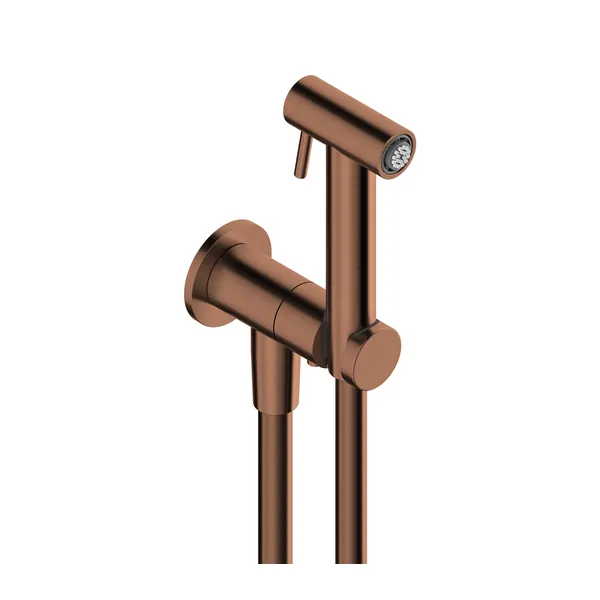 WC kit in 316L stainless steel with douche handset and wall outlet