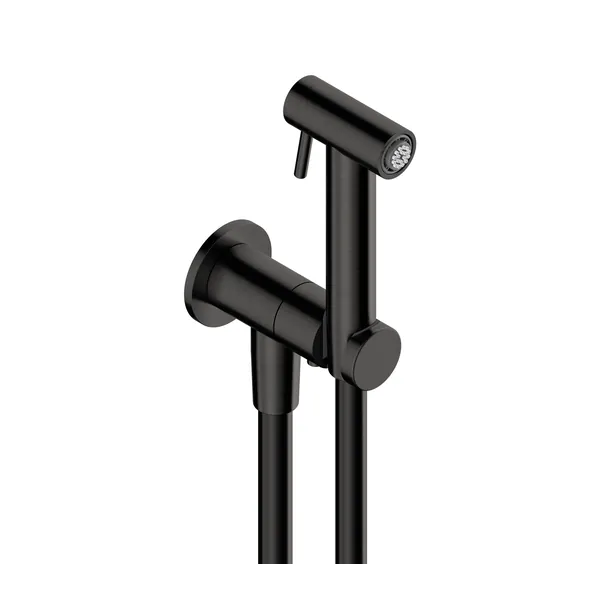WC kit in 316L stainless steel with douche handset and wall outlet