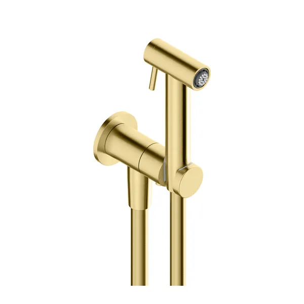 WC kit in 316L stainless steel with douche handset and wall outlet
