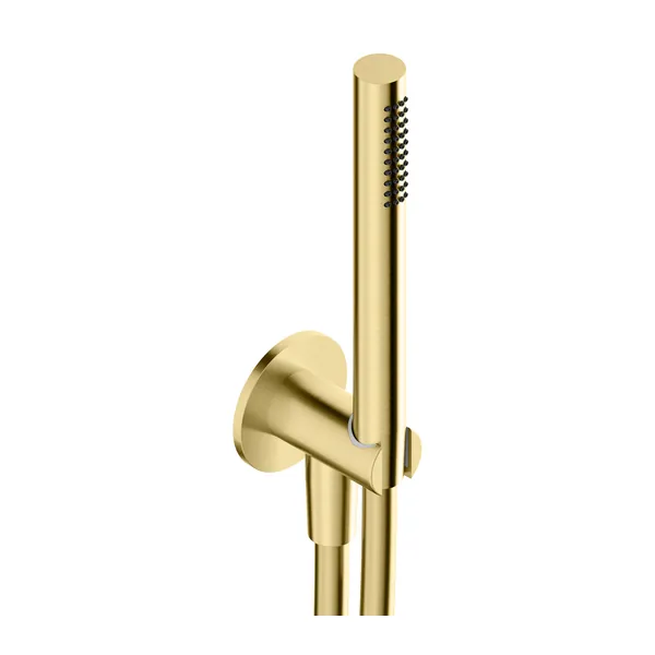 Shower kit in 316L stainless steel with 65 mm escutcheon and wall outlet