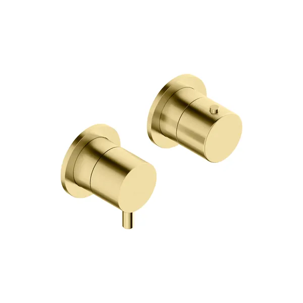 Concealed 2-way thermostatic shower mixer with rotary diverter in 316L stainless steel