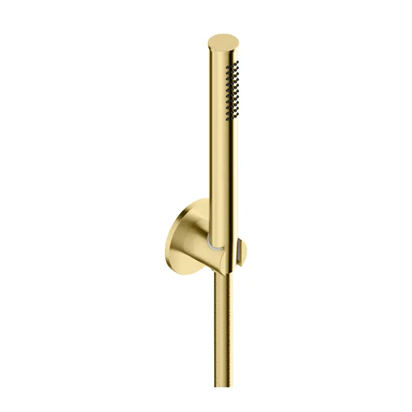 Shower set in 316L stainless steel with shower holder.