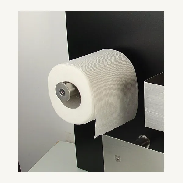 Fontea wall mounted stainless steel toilet paper holder