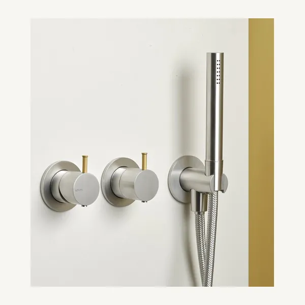 Remo Shower Set with Wall Mixer, Diverter, Riser and Hose