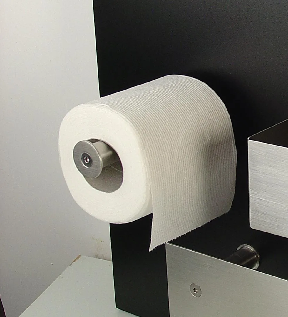 Fontea wall mounted stainless steel toilet paper holder