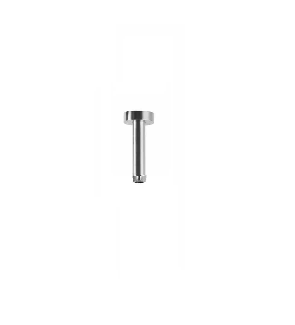 Terme 100 mm Ceiling Mounted Vertical Shower Arm